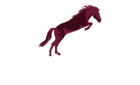 Rancho Santa Cecilia